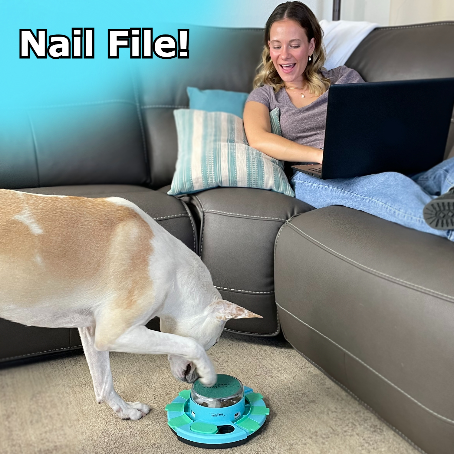 A dog filing its own nails on the Zenly Paws Nail File Toy while its owner works on the couch